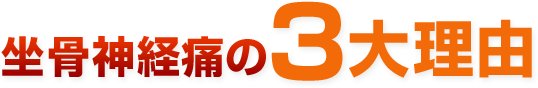 坐骨神経痛の３大理由
